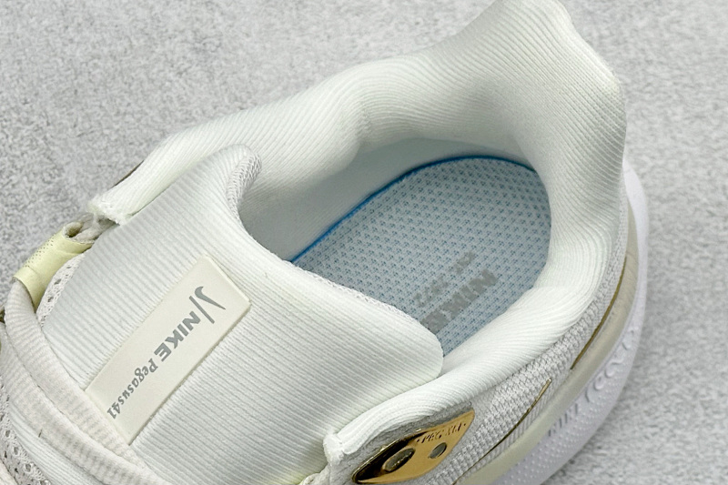 zhenhui-NK Air Zoom Pegasus 41 2