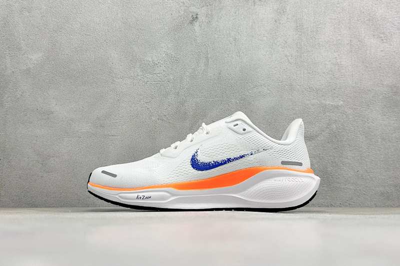 zhenhui-NK Air Zoom Pegasus 41 9