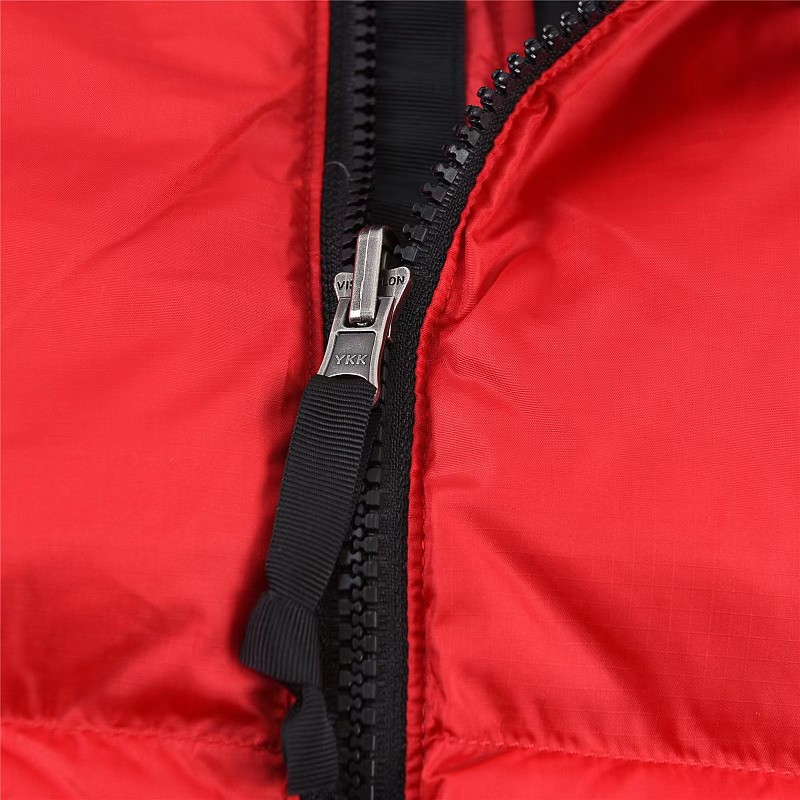 The North Face Vest 2