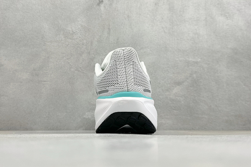 zhenhui-NK Air Zoom Pegasus 41 4
