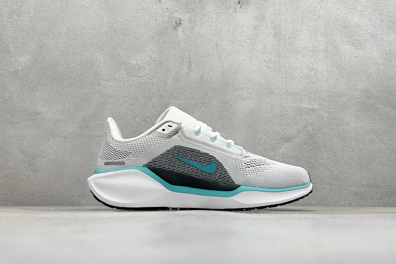 zhenhui-NK Air Zoom Pegasus 41 8