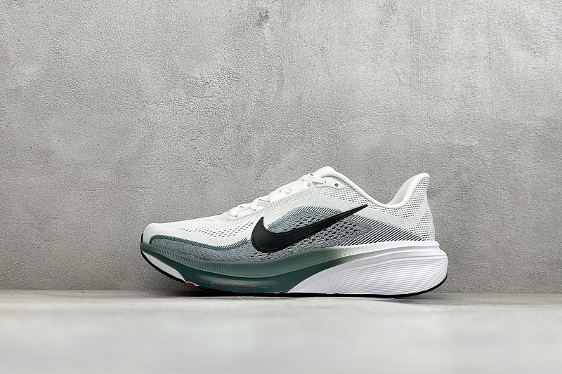 Zhenhui- Nk Air Zoom Pegasus 42 9