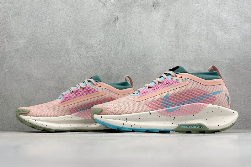 zhenhui-Nike Reactx Pegasus Trail 5 Gtx 5