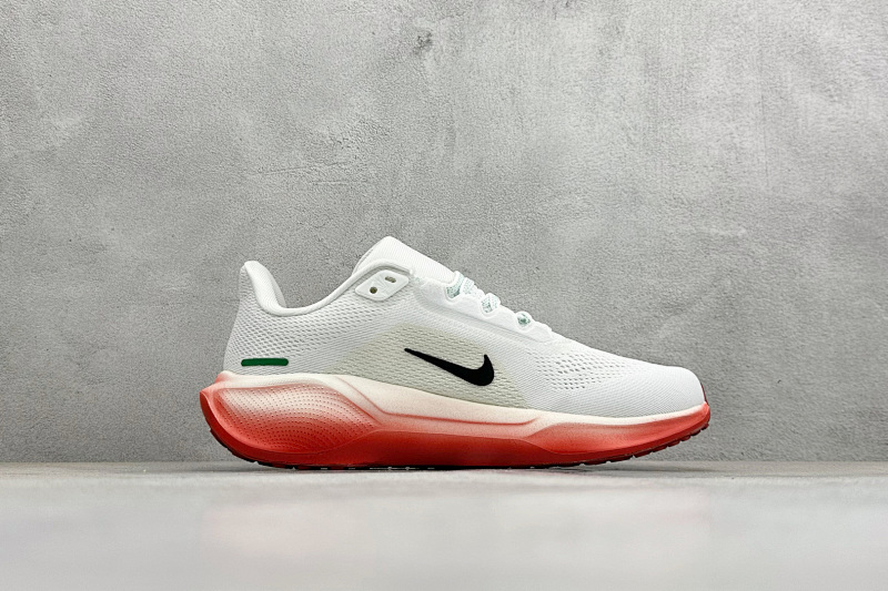 zhenhui-NK Air Zoom Pegasus 41 8