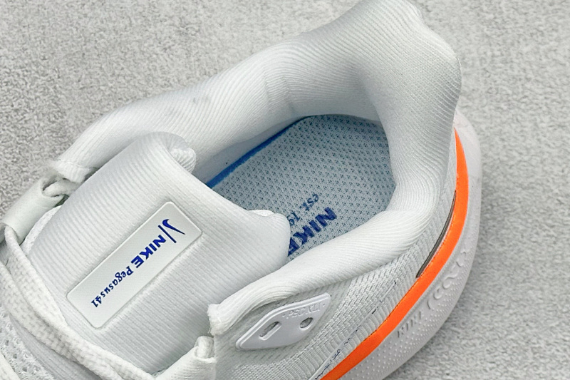 zhenhui-NK Air Zoom Pegasus 41 2