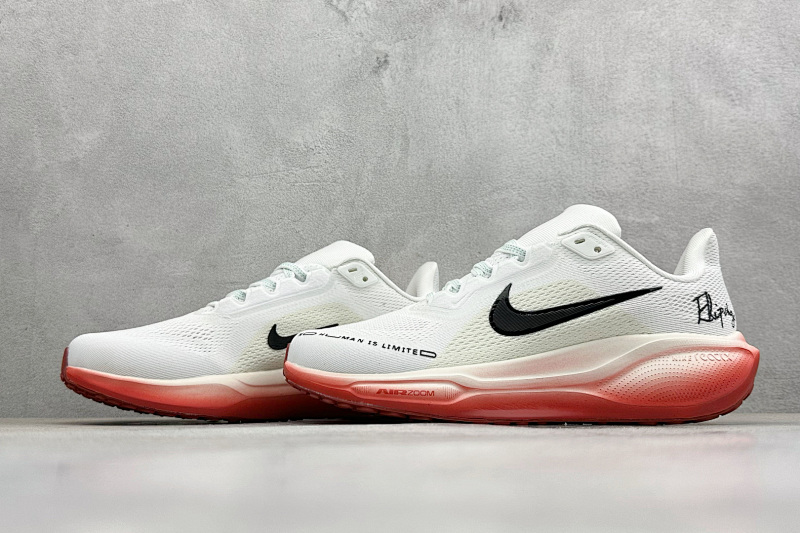 zhenhui-NK Air Zoom Pegasus 41 6