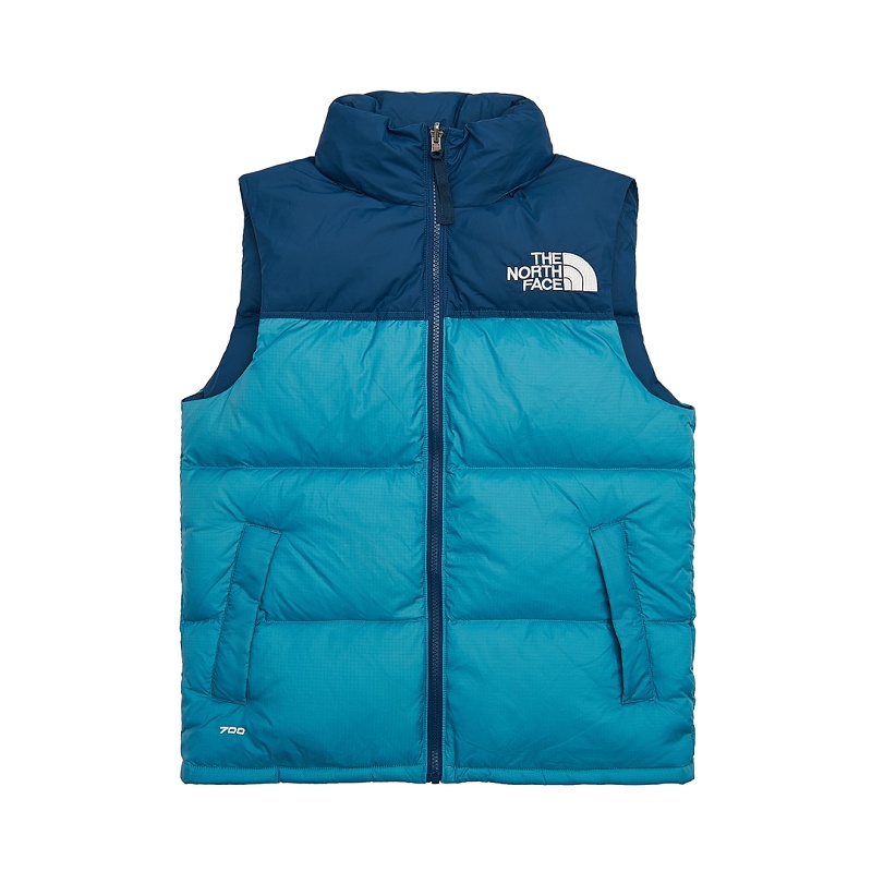 The North Face Vest 9