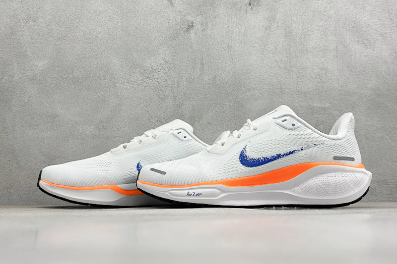 zhenhui-NK Air Zoom Pegasus 41 5
