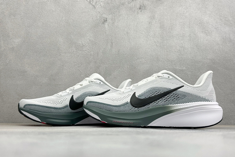 Zhenhui- Nk Air Zoom Pegasus 42 5