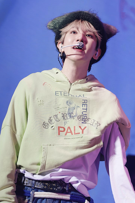 NX Hooded Sweatshirt 11