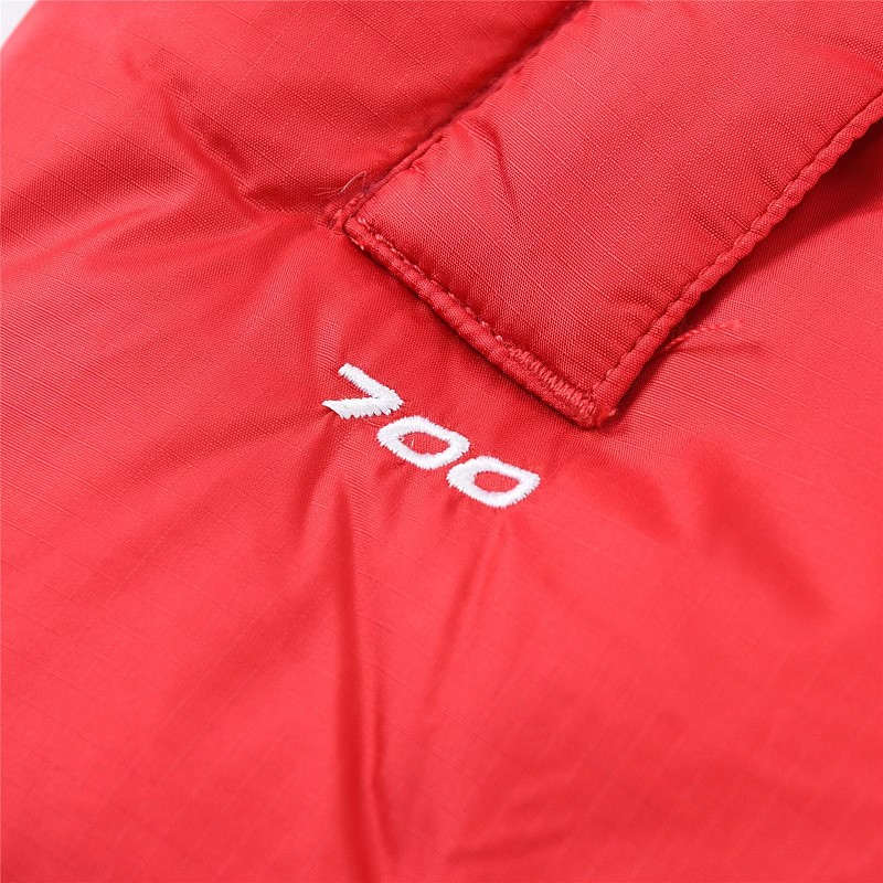 The North Face Vest