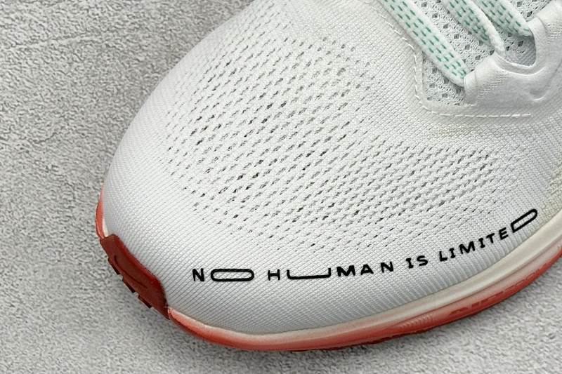 zhenhui-NK Air Zoom Pegasus 41 4