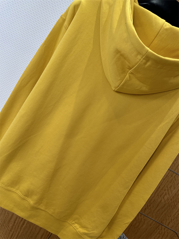 Print Hooded Sweatshirt 4
