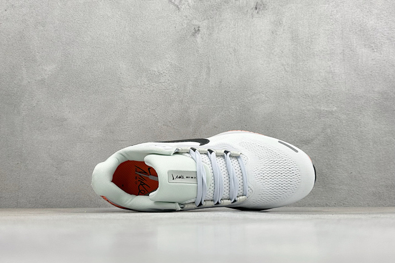 zhenhui-NK Air Zoom Pegasus 41 7