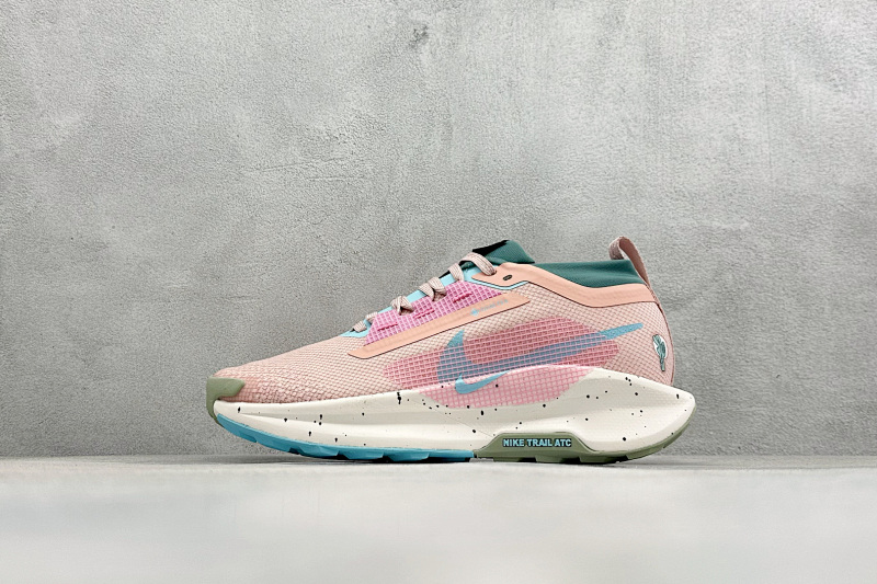 zhenhui-Nike Reactx Pegasus Trail 5 Gtx 9