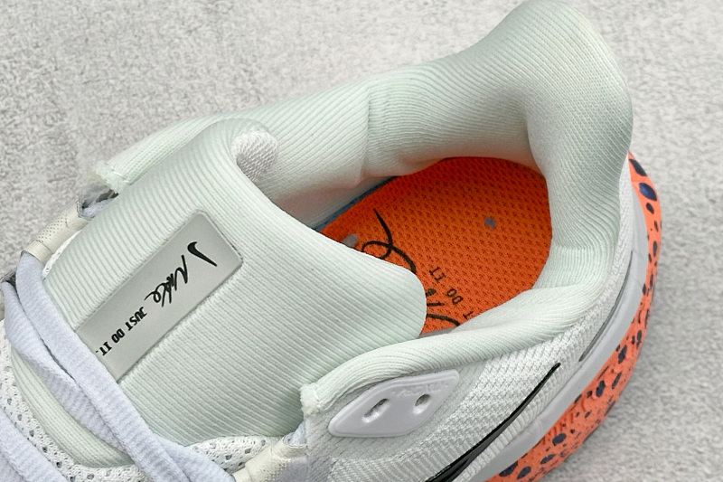 zhenhui-NK Air Zoom Pegasus 41 2