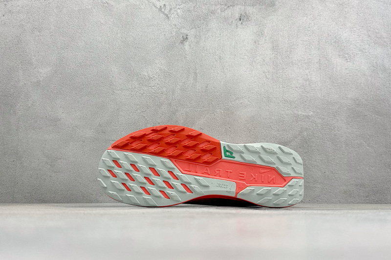 zhenhui-Nike Reactx Pegasus Trail 5 Gtx 6