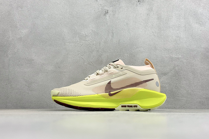 zhenhui-Nike Reactx Pegasus Trail 5 Gtx 9