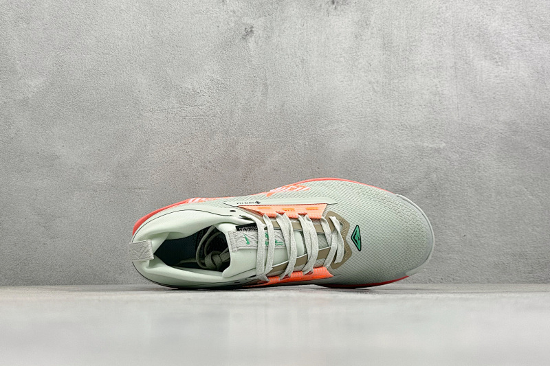 zhenhui-Nike Reactx Pegasus Trail 5 Gtx 7