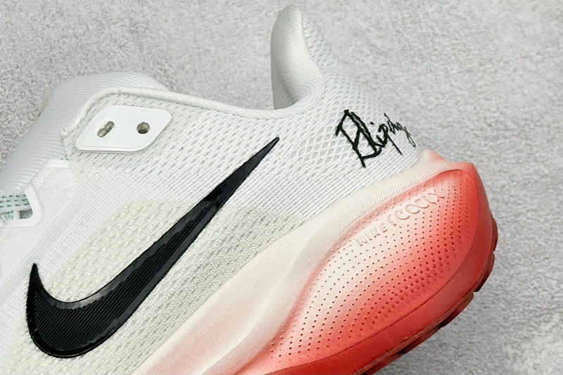 zhenhui-NK Air Zoom Pegasus 41 2