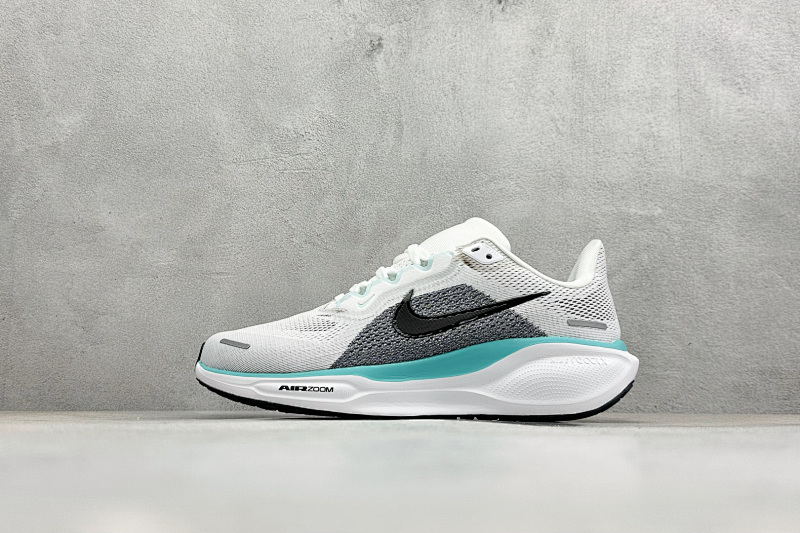 zhenhui-NK Air Zoom Pegasus 41 9