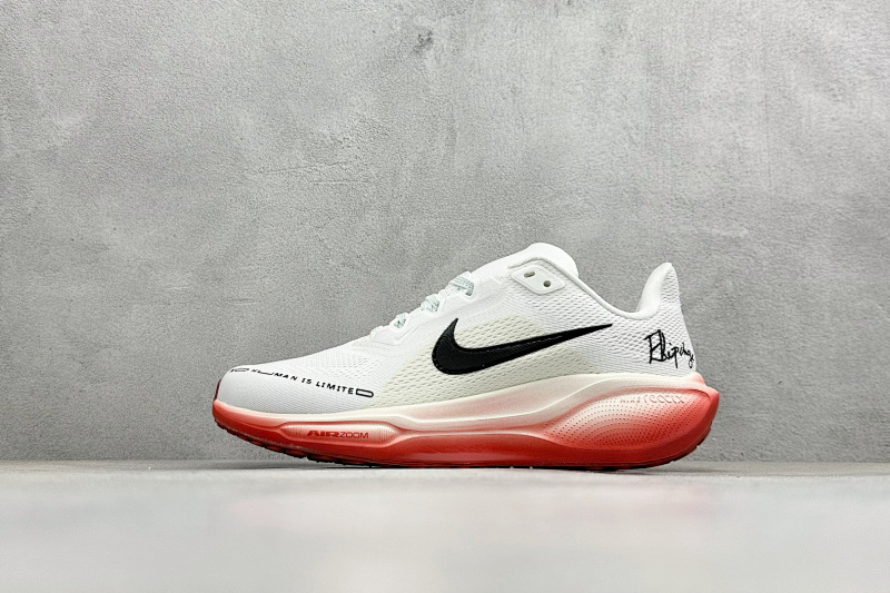 zhenhui-NK Air Zoom Pegasus 41 9
