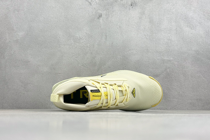 zhenhui-Nike Reactx Pegasus Trail 5 Gtx 7