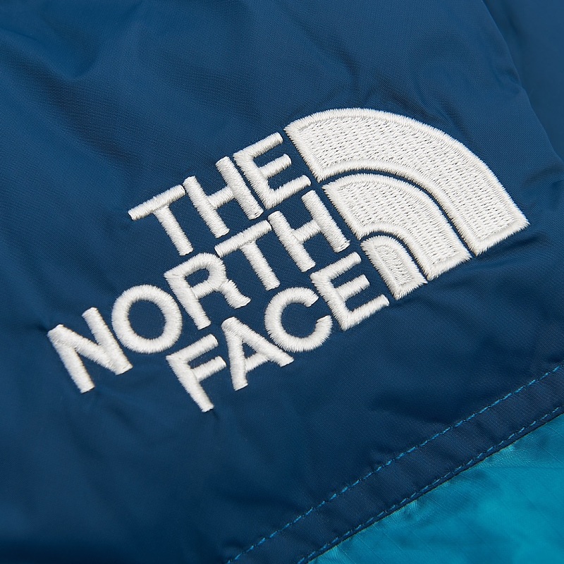 The North Face Vest 3