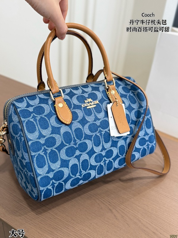 Xinxin Coach 10
