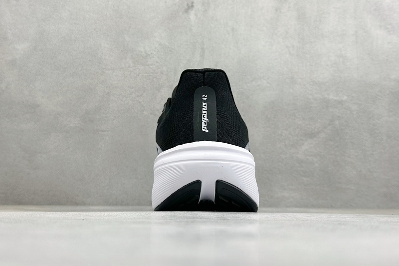 zhenhui-NK Air Zoom Pegasus 42 4