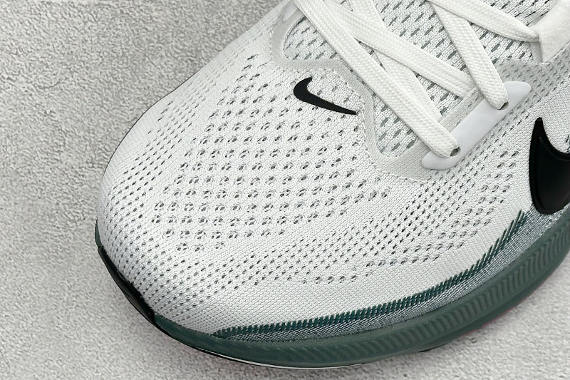 Zhenhui- Nk Air Zoom Pegasus 42 3