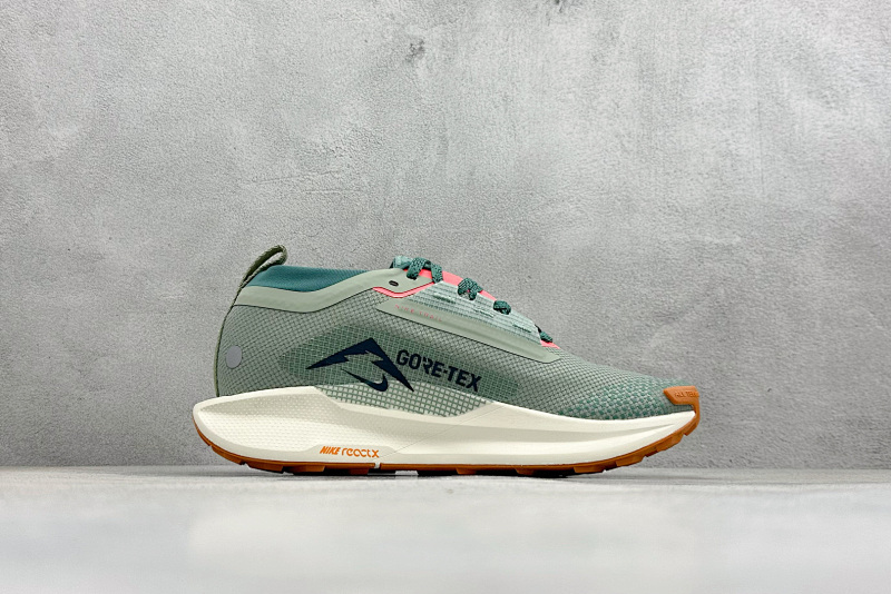 zhenhui-Nike Reactx Pegasus Trail 5 Gtx 8