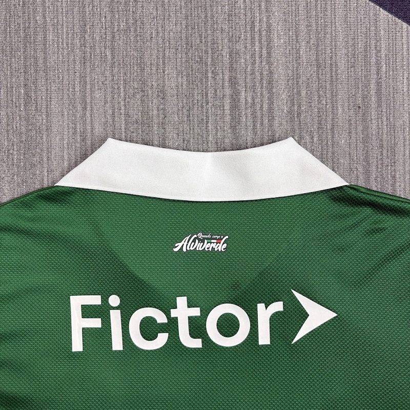 Palmeiras Special Fans Version Jersey · 4