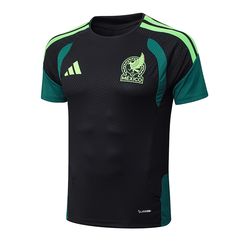 2026 Mexico Player Short Sleeve+pants Kit · 3