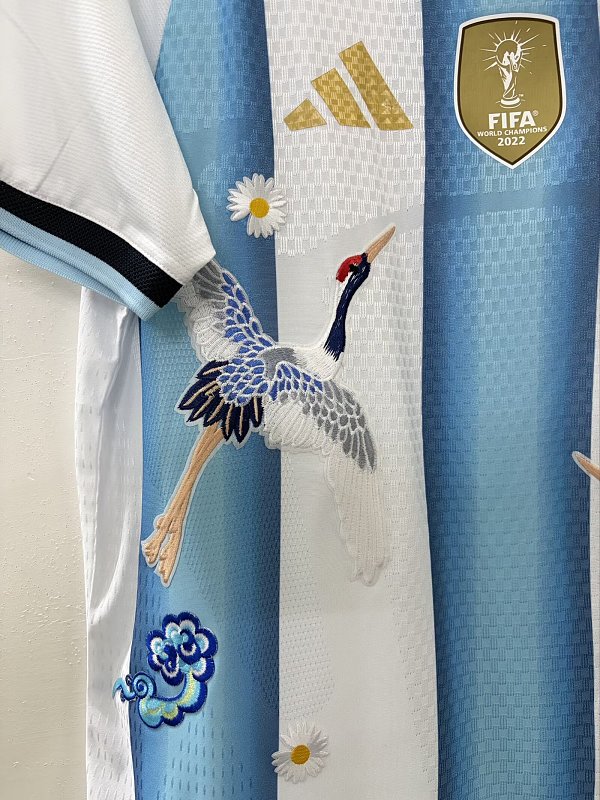 2026 Argentina Home Fans Embroidery Patterns Jersey · 5