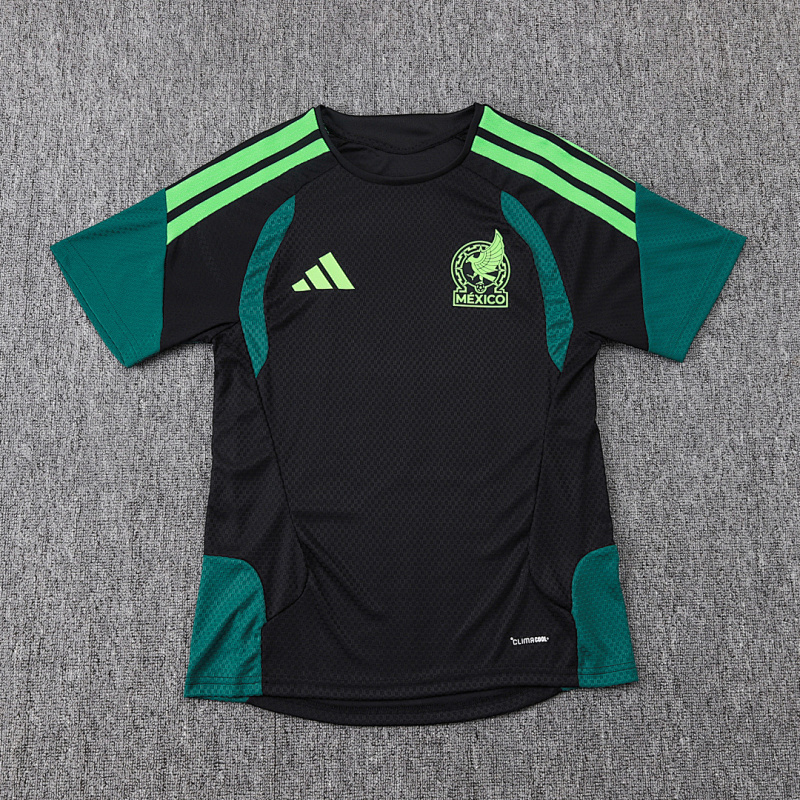 2026 Mexico Player Short Sleeve+pants Kit · 6