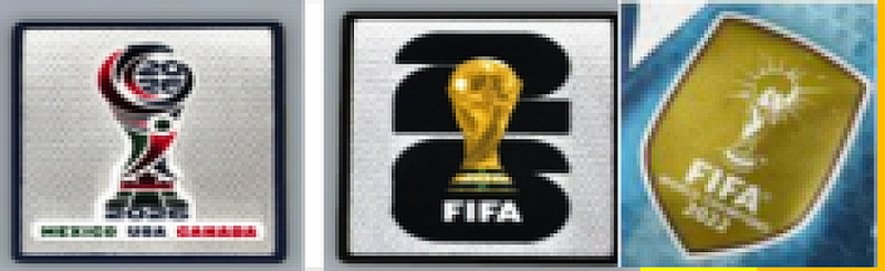 2026 Argentina Goalkeeper Fans Version Jersey · 3