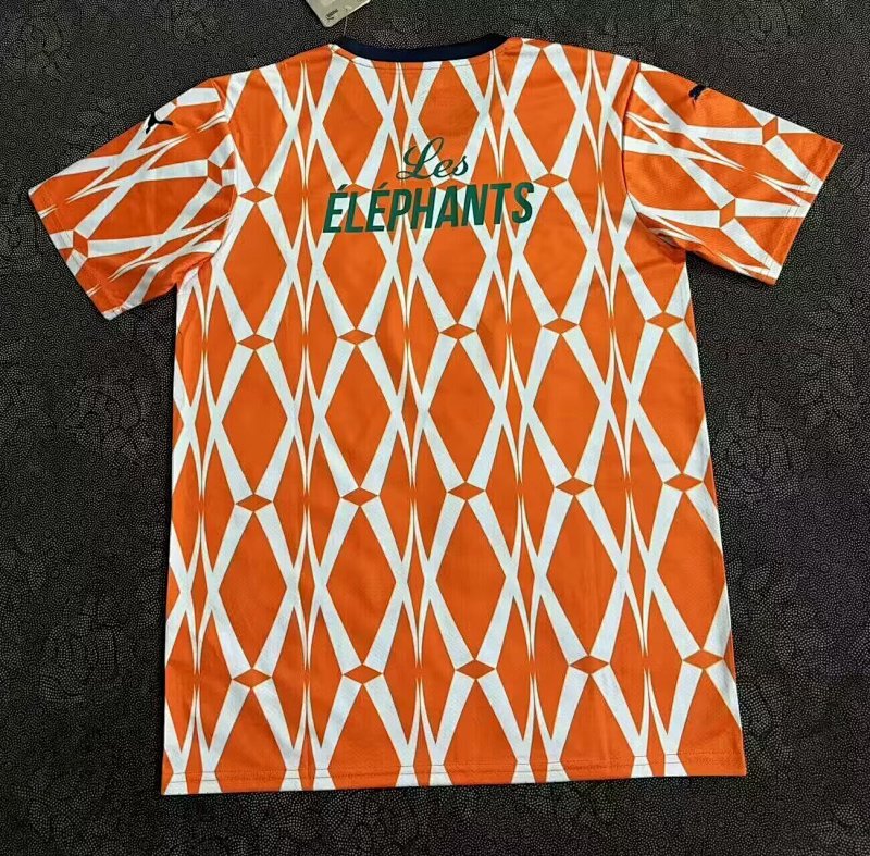 2025 Cote d'Ivoire Special Fans Version Jersey 2
