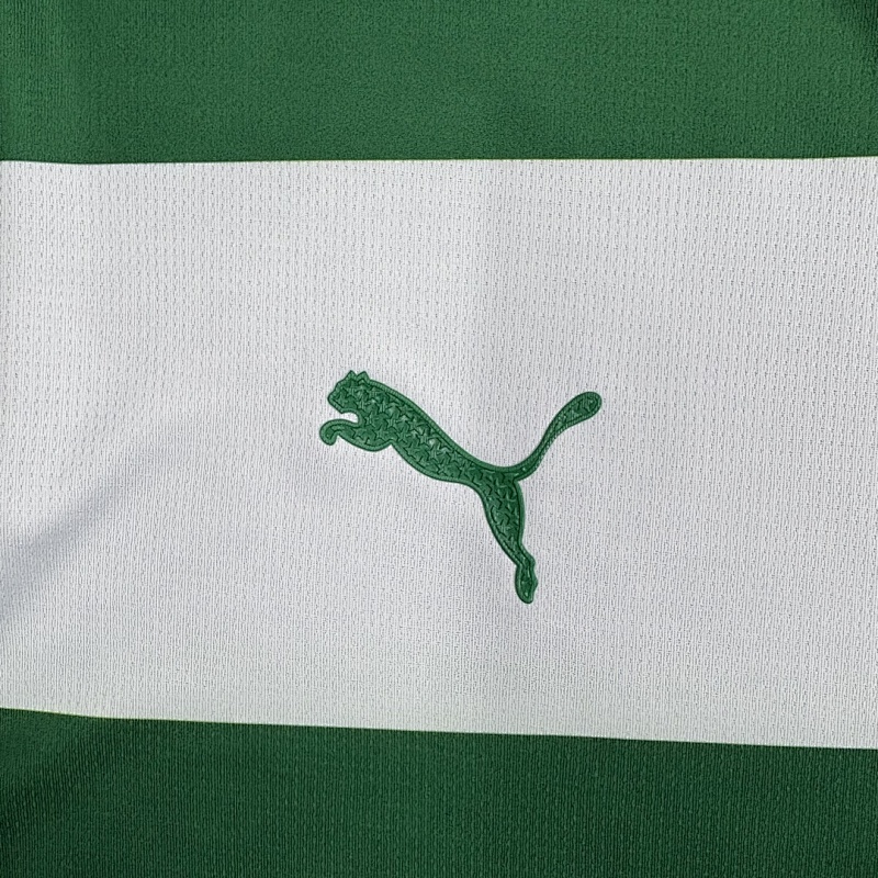 Palmeiras Special Fans Version Jersey · 3