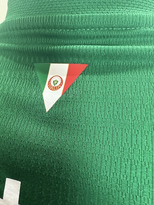Palmeiras Home Player Version Jersey · 6