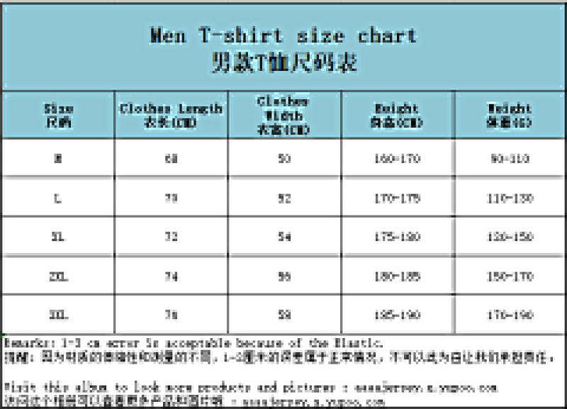 The North Face T-shirt T