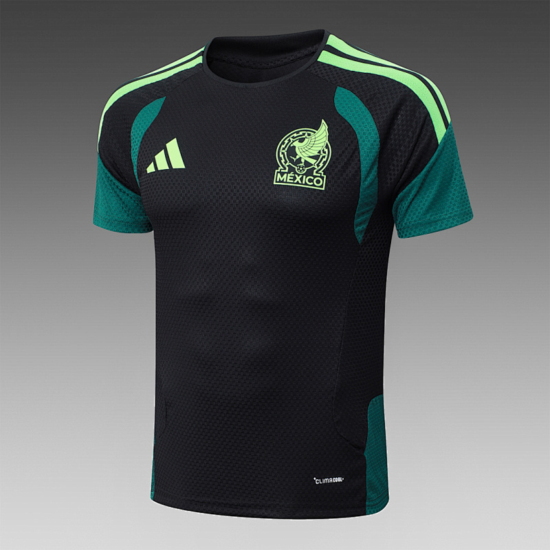 2026 Mexico Player Short Sleeve+pants Kit · 4