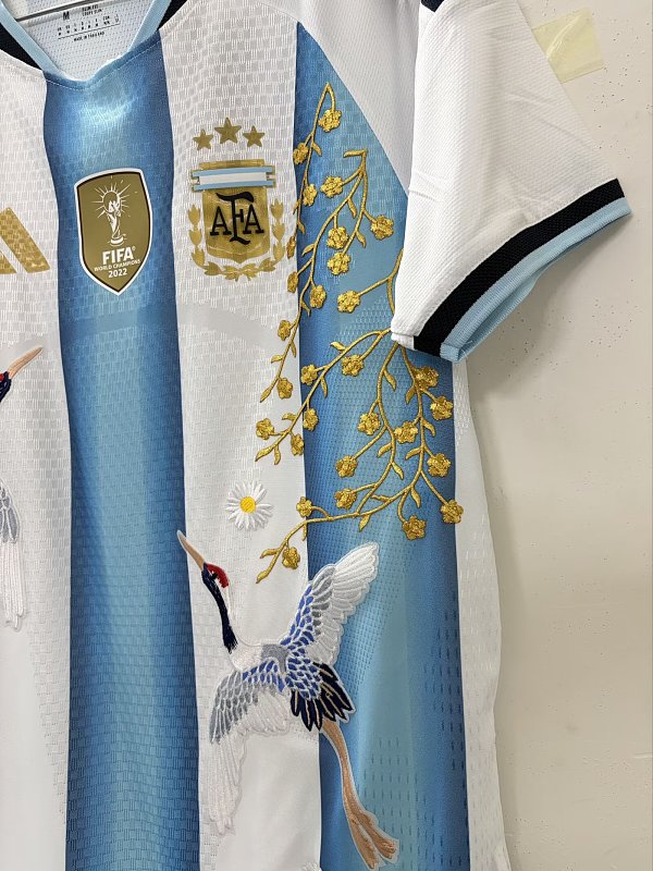 2026 Argentina Home Fans Embroidery Patterns Jersey · 6