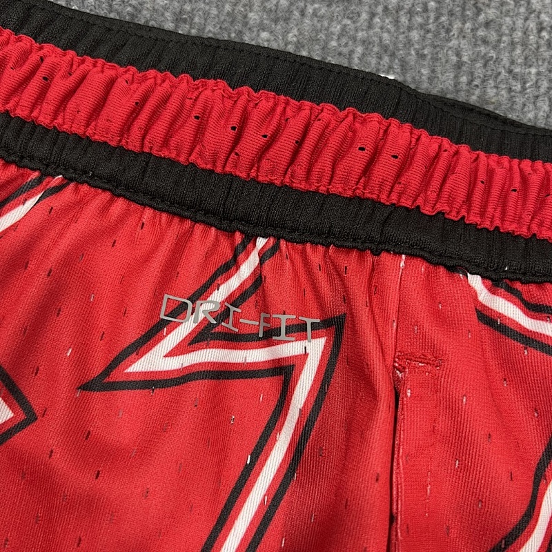 Jordan Shorts 5