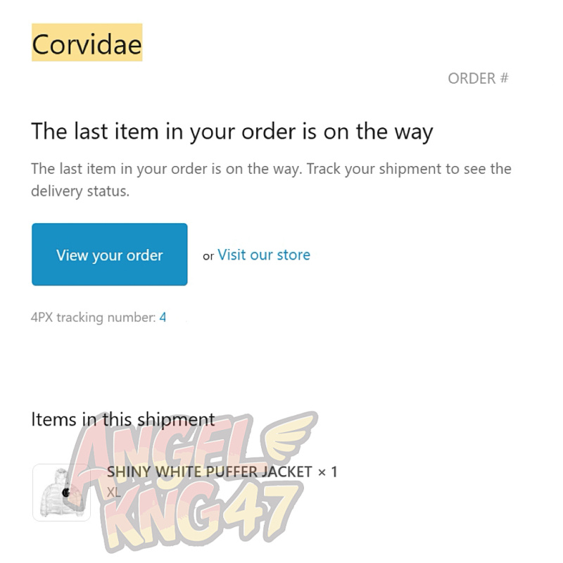 Corvidae Shiny White V2 Puffer Jacket 4