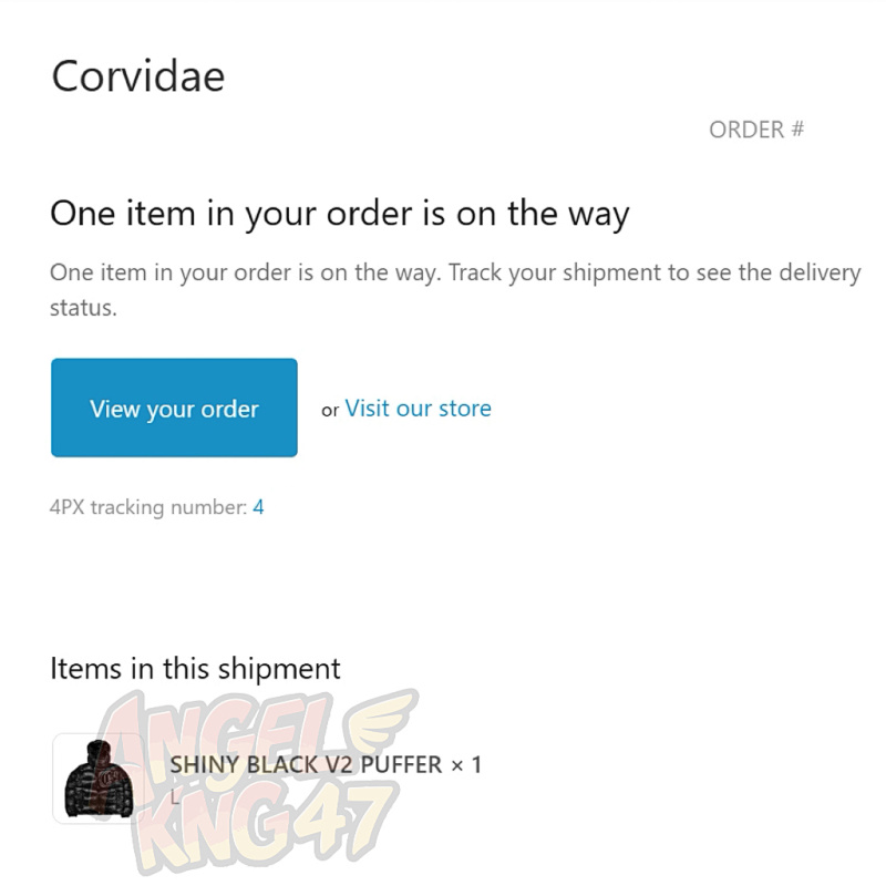 Corvidae Shiny Black V2 Puffer Jacket 4