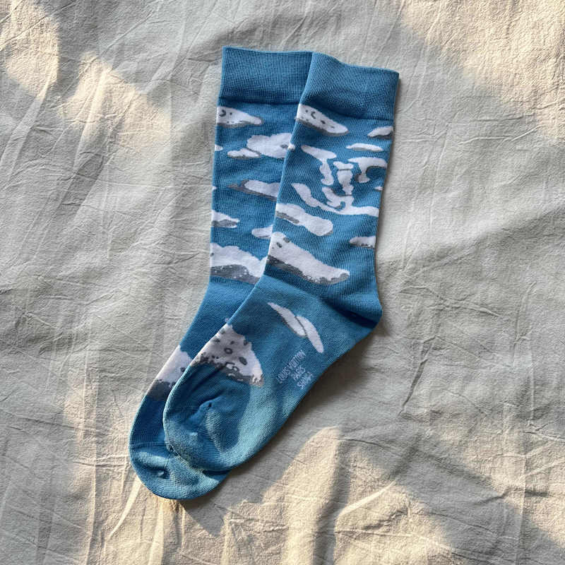 Nigo X V Socks 2