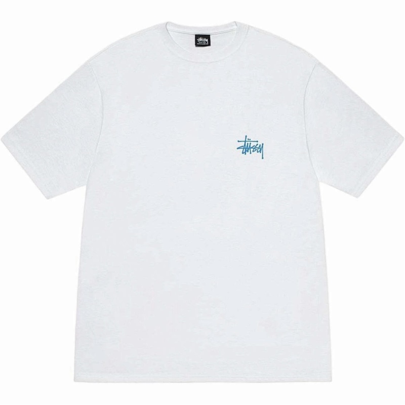 be30091 R06 8