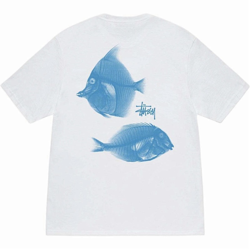 be30091 R06 6