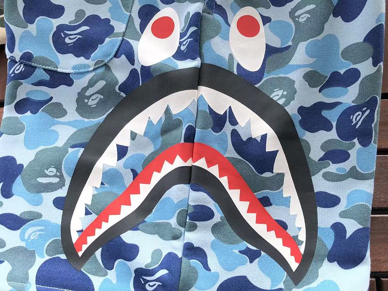 Bape Shorts 10